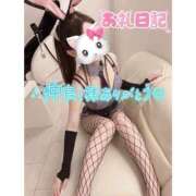 ヒメ日記 2026/03/28 04:28 投稿 つばさ♡【No. 1美少女】 さくらんぼ女学院