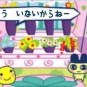 ヒメ日記 2025/06/24 07:50 投稿 ねね（動画撮影OＫ） OKINI Tokyo in 蒲田