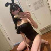 ヒメ日記 2025/12/29 16:50 投稿 ねね（動画撮影OＫ） OKINI Tokyo in 蒲田