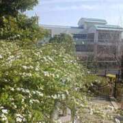 ヒメ日記 2025/03/18 16:01 投稿 NH水朝 美樹 信州無限GP 総合受付 諏訪店