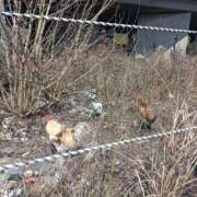 ヒメ日記 2025/03/23 14:01 投稿 NH水朝 美樹 信州無限GP 総合受付 諏訪店