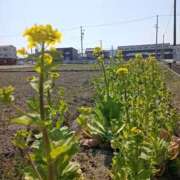 ヒメ日記 2025/03/25 20:03 投稿 NH水朝 美樹 信州無限GP 総合受付 諏訪店