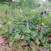 ヒメ日記 2025/03/26 18:04 投稿 NH水朝 美樹 信州無限GP 総合受付 諏訪店