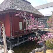 ヒメ日記 2025/03/27 13:00 投稿 NH水朝 美樹 信州無限GP 総合受付 諏訪店