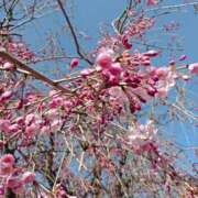 ヒメ日記 2025/04/13 14:01 投稿 NH水朝 美樹 信州無限GP 総合受付 諏訪店