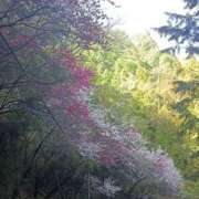 ヒメ日記 2025/05/08 13:11 投稿 NH水朝 美樹 信州無限GP 総合受付 諏訪店