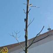 ヒメ日記 2025/07/19 08:19 投稿 NH水朝 美樹 信州無限GP 総合受付 諏訪店