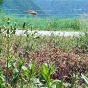 ヒメ日記 2025/08/21 08:01 投稿 NH水朝 美樹 信州無限GP 総合受付 諏訪店