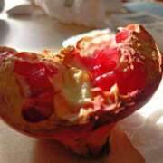 ヒメ日記 2025/10/30 21:18 投稿 NH水朝 美樹 信州無限GP 総合受付 諏訪店