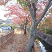 ヒメ日記 2025/11/20 11:55 投稿 NH水朝 美樹 信州無限GP 総合受付 諏訪店