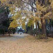 ヒメ日記 2025/12/19 14:50 投稿 NH水朝 美樹 信州無限GP 総合受付 諏訪店