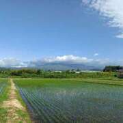 ヒメ日記 2026/05/29 16:10 投稿 NH水朝 美樹 信州無限GP 総合受付 諏訪店