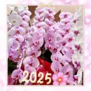 ヒメ日記 2025/01/03 18:04 投稿 工藤　あかね トランス＠クリニック東京　新宿～出張　前立腺トリートメント