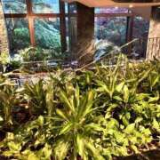 ヒメ日記 2025/05/20 22:37 投稿 工藤　あかね トランス＠クリニック東京　新宿～出張　前立腺トリートメント