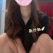 ヒメ日記 2026/01/30 01:59 投稿 工藤　あかね トランス＠クリニック東京　新宿～出張　前立腺トリートメント