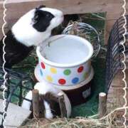 ヒメ日記 2026/02/10 00:19 投稿 工藤　あかね トランス＠クリニック東京　新宿～出張　前立腺トリートメント