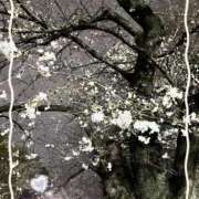 ヒメ日記 2026/03/23 20:36 投稿 工藤　あかね トランス＠クリニック東京　新宿～出張　前立腺トリートメント