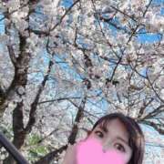 ヒメ日記 2025/04/03 18:53 投稿 さよ☆即即高級サービス ROYAL CLUB姫