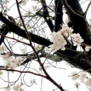 ヒメ日記 2025/04/01 20:07 投稿 れのあ こすらぶ宮崎店