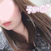 ヒメ日記 2025/02/16 09:09 投稿 つばき 浜松駅前ちゃんこ