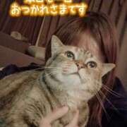 ヒメ日記 2025/07/21 22:26 投稿 三上  りな 人妻の秘密