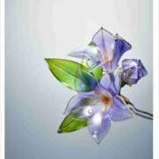 ヒメ日記 2025/05/01 21:07 投稿 彩芽-あやめ 熟女10000円デリヘル 川崎