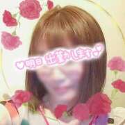 ヒメ日記 2024/12/23 15:24 投稿 アサガオ/Asagao 英國屋（金津園）