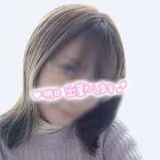 ヒメ日記 2025/03/28 12:44 投稿 アサガオ/Asagao 英國屋（金津園）