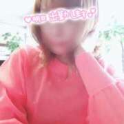 ヒメ日記 2025/04/04 10:04 投稿 アサガオ/Asagao 英國屋（金津園）