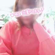 ヒメ日記 2025/04/07 11:14 投稿 アサガオ/Asagao 英國屋（金津園）