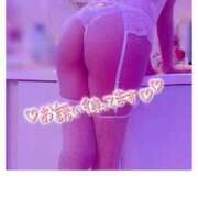 ヒメ日記 2025/06/15 08:44 投稿 アサガオ/Asagao 英國屋（金津園）