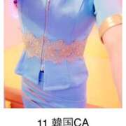 ヒメ日記 2025/07/04 00:14 投稿 アサガオ/Asagao 英國屋（金津園）