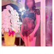 ヒメ日記 2025/08/13 09:54 投稿 アサガオ/Asagao 英國屋（金津園）