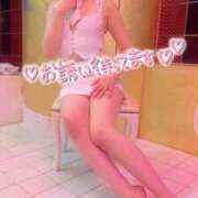 ヒメ日記 2025/09/03 08:54 投稿 アサガオ/Asagao 英國屋（金津園）