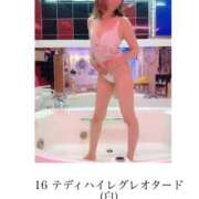 ヒメ日記 2025/10/18 09:34 投稿 アサガオ/Asagao 英國屋（金津園）