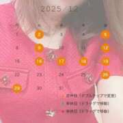 ヒメ日記 2025/12/17 12:34 投稿 アサガオ/Asagao 英國屋（金津園）