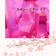 ヒメ日記 2026/03/23 15:54 投稿 アサガオ/Asagao 英國屋（金津園）