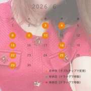 ヒメ日記 2026/05/28 17:04 投稿 アサガオ/Asagao 英國屋（金津園）