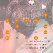 ヒメ日記 2026/10/10 09:54 投稿 アサガオ/Asagao 英國屋（金津園）