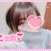 ヒメ日記 2024/12/16 16:19 投稿 なずな 乳の湯