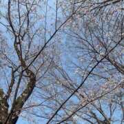 ヒメ日記 2026/04/08 13:59 投稿 なずな 乳の湯