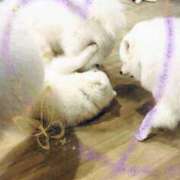 ヒメ日記 2024/12/14 19:40 投稿 ふうか 谷町人妻ゴールデン倶楽部