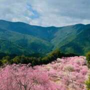 ヒメ日記 2025/04/23 03:10 投稿 ふうか 谷町人妻ゴールデン倶楽部