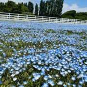 ヒメ日記 2025/05/16 05:15 投稿 ふうか 谷町人妻ゴールデン倶楽部