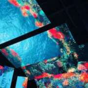 ヒメ日記 2025/05/21 05:00 投稿 ふうか 谷町人妻ゴールデン倶楽部