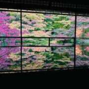 ヒメ日記 2025/11/26 05:55 投稿 ふうか 谷町人妻ゴールデン倶楽部