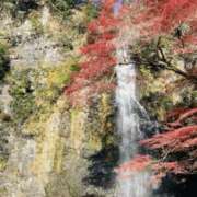 ヒメ日記 2025/12/02 13:35 投稿 ふうか 谷町人妻ゴールデン倶楽部