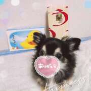 ヒメ日記 2025/12/28 04:55 投稿 ふうか 谷町人妻ゴールデン倶楽部