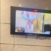 ヒメ日記 2026/03/21 12:19 投稿 ジャスミン【美形すぎるハーフ】 STELLA TOKYO－ステラトウキョウ－