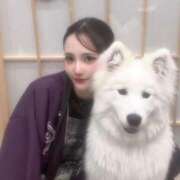 ヒメ日記 2026/07/01 19:38 投稿 ジャスミン【美形すぎるハーフ】 STELLA TOKYO－ステラトウキョウ－